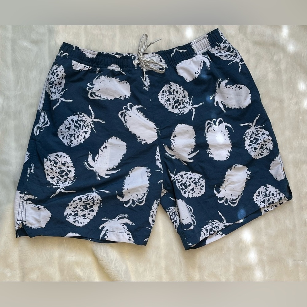 Waterman Quicksilver SwimTrunks Mens Large Pineapple Print Novelty